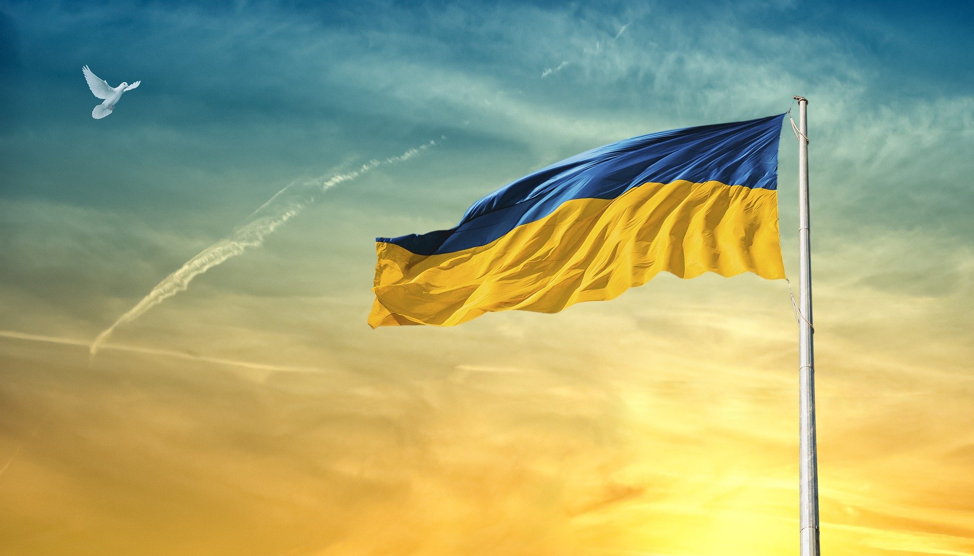 Nothilfe Ukraine StandforUkraine